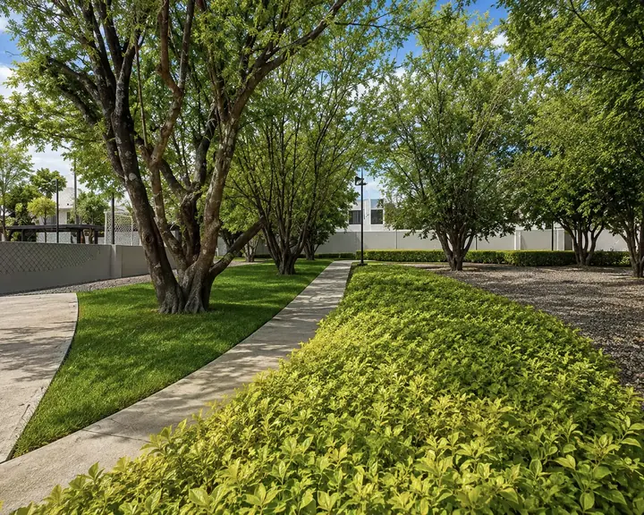 Áreas verdes en Aquasol Lifestyle, Ayala, Morelos
