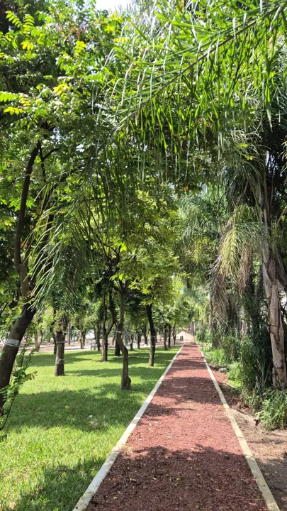 Andadores arbolados en Residencial Paraíso Yautepec