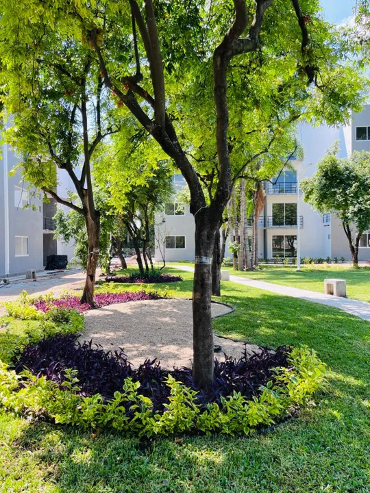 Jardines en Residencial Paraíso Yautepec
